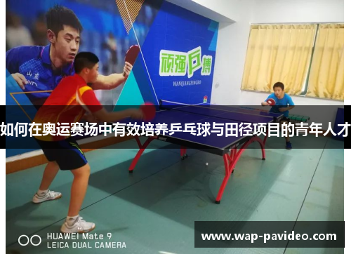 如何在奥运赛场中有效培养乒乓球与田径项目的青年人才 如何在奥运赛场中有效培养乒乓球与田径项目的青年人才