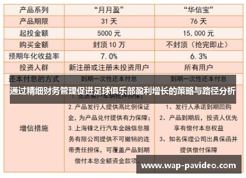 通过精细财务管理促进足球俱乐部盈利增长的策略与路径分析 通过精细财务管理促进足球俱乐部盈利增长的策略与路径分析