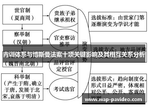 青训体系与博斯曼法案十项关键影响及其相互关系分析 青训体系与博斯曼法案十项关键影响及其相互关系分析