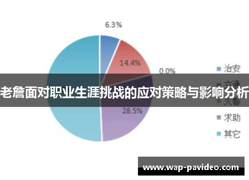 老詹面对职业生涯挑战的应对策略与影响分析 老詹面对职业生涯挑战的应对策略与影响分析