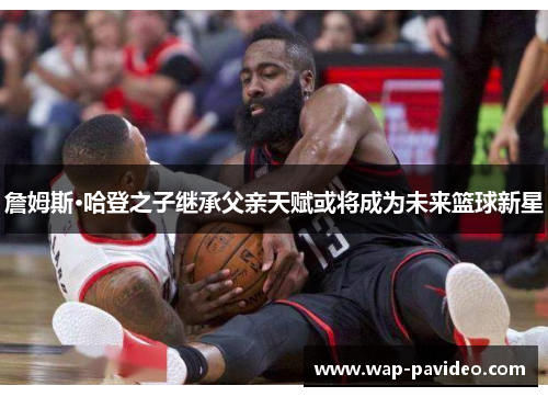 詹姆斯·哈登之子继承父亲天赋或将成为未来篮球新星